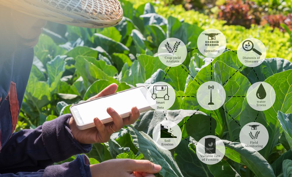 Child holding vegetables